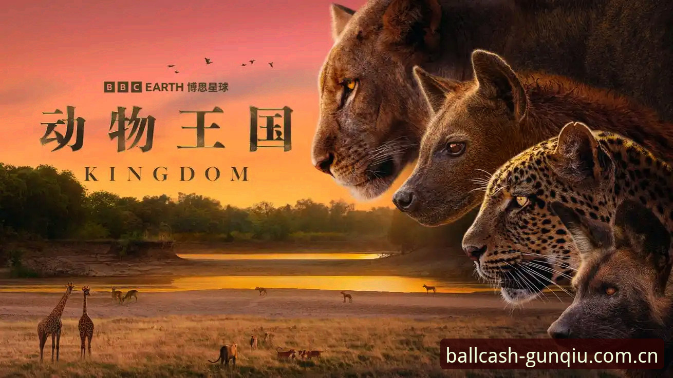 滚球体育提现体育赛事数据 索斯盖特转型纪录片制作人,详解《改变年轻男性的游戏规则》